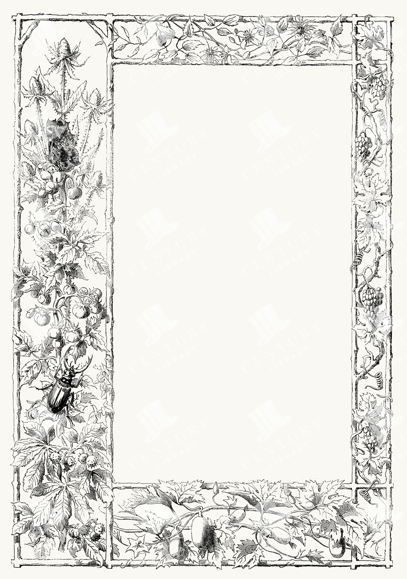 Botanical Rectangle Frame with Thistles