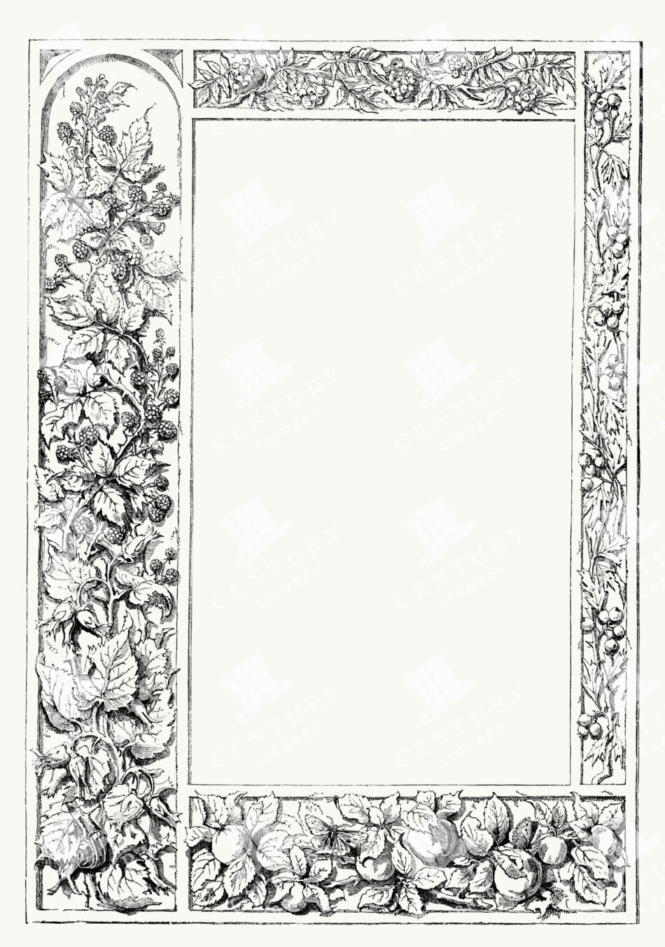 Botanical Rectangle Frame with Blackberries
