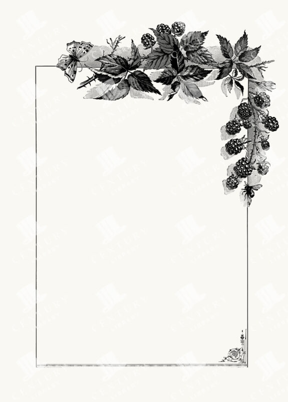 Botanical Frame with Blackberries
