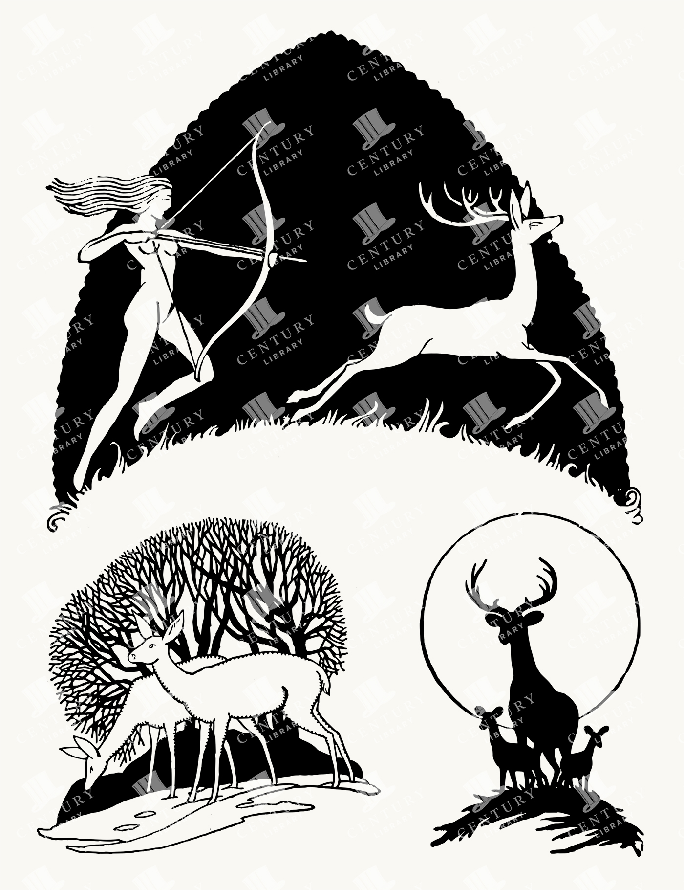 Mythical Huntress and Deer Family - Stylized Forest Animal Illustrations