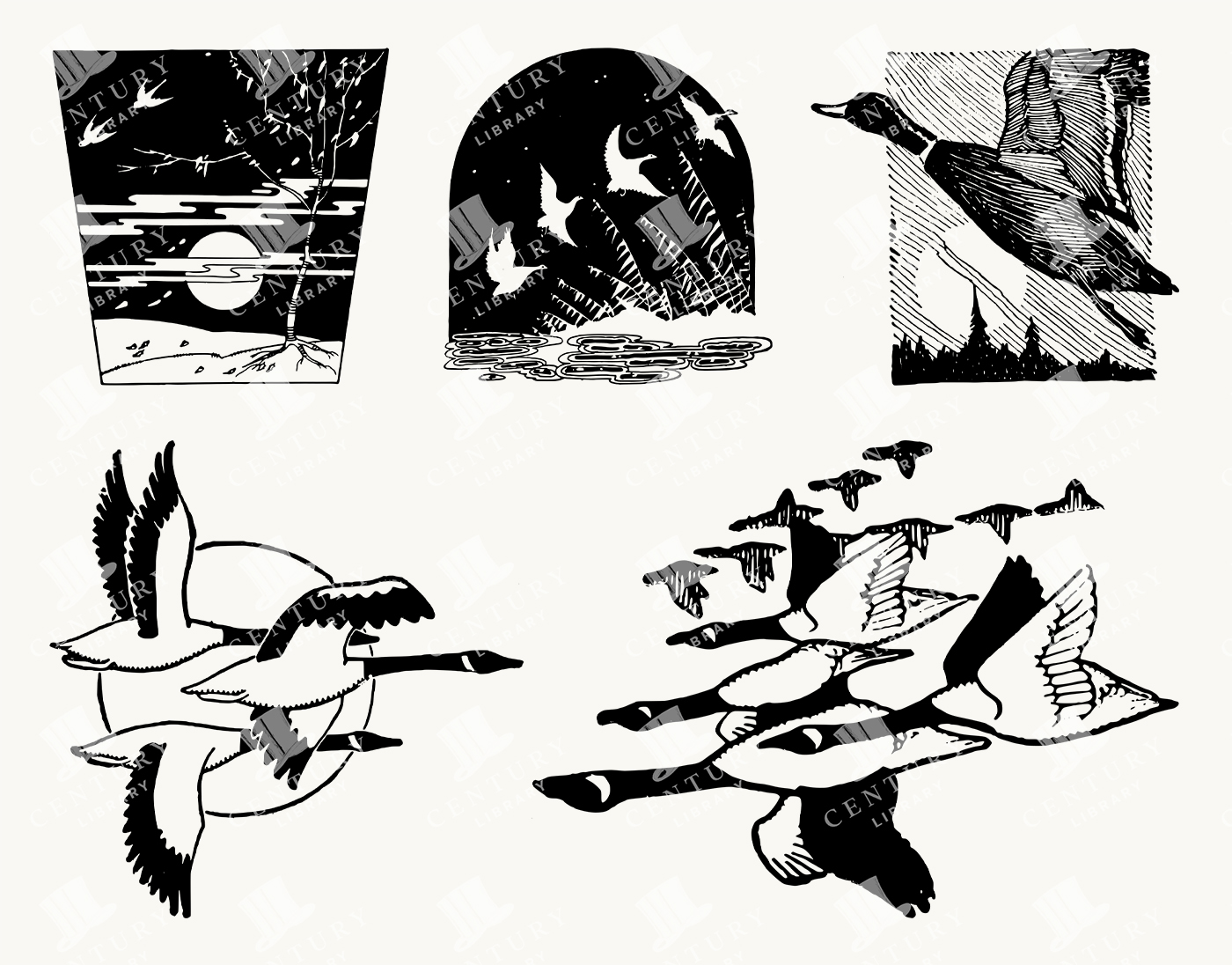 Vintage Wild Geese in Flight - Retro Bird Migration and Nature Clipart
