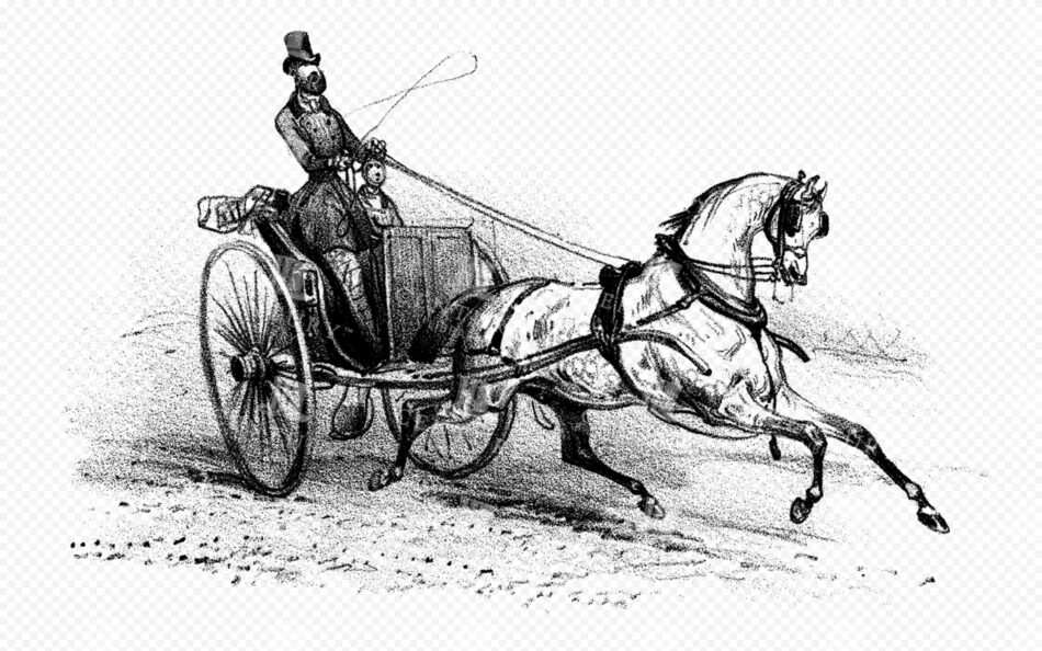 Horse Pulling a Light Two-wheeled Carriage at Speed