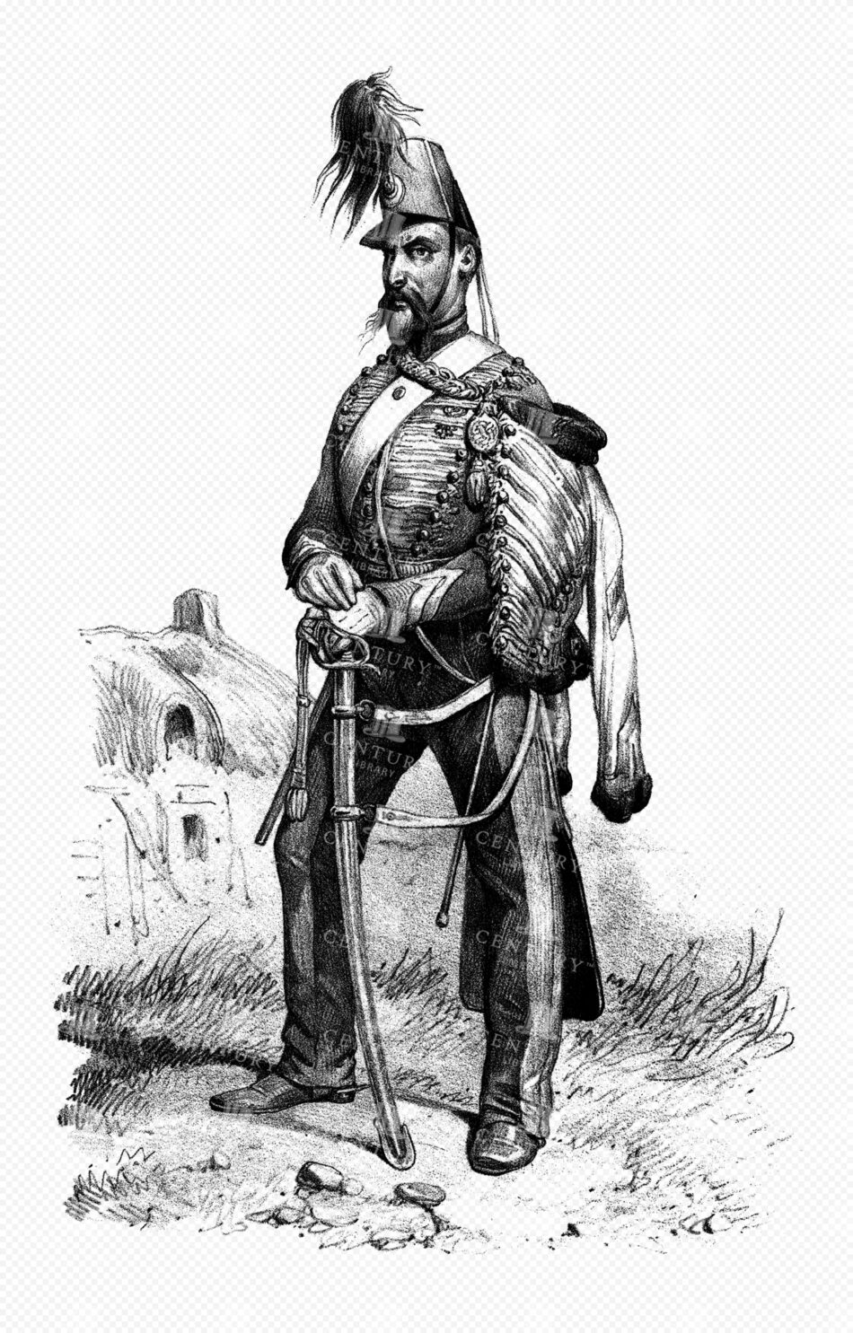 Hussar Officer in Braided Uniform with Plumed Shako and Pelisse