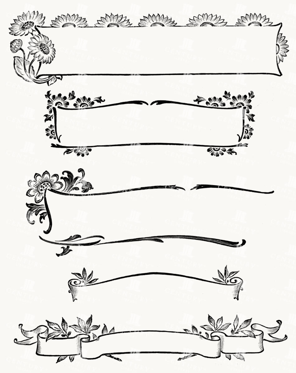 Ornamental Title Panels and Banners - Art Nouveau Floral Borders - Curling Ribbon Scrolls and Leafy Cartouches