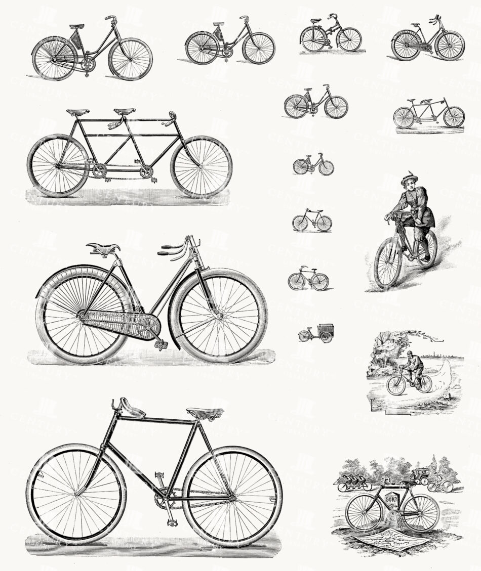 Bicycle Models and Cycling Vignettes - Diamond and Step-through Frames
