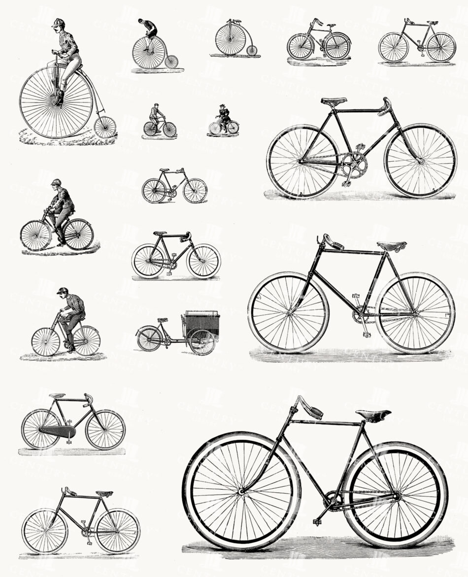 Bicycle Studies with Riders and Cargo Trike - Penny-farthing