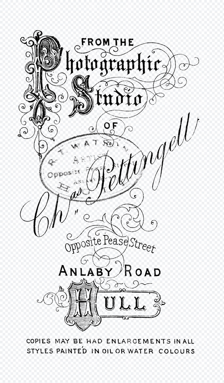 Photographer's Studio Card - Ornate Lettering With Flourishes And Scrollwork