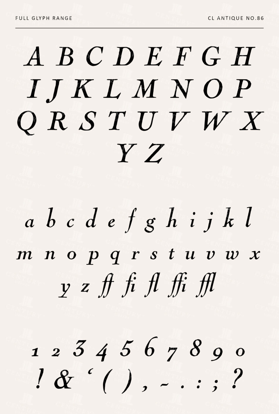 Elegant Serif Font with Italic Accents - Classic Typeface