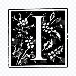 Century Library Collections - Century Library