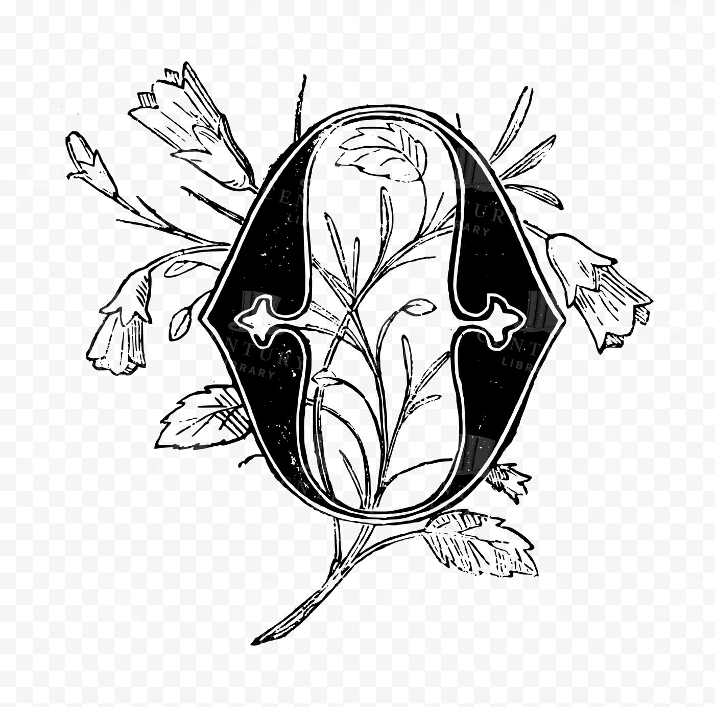 Drop Cap Letter O – Floral Bellflower Initial with Leafy Vines ...