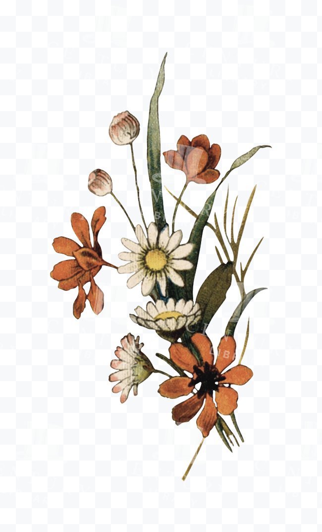 Wildflower Bouquet - Daisies, Orange Blossoms, and Tall Leaves