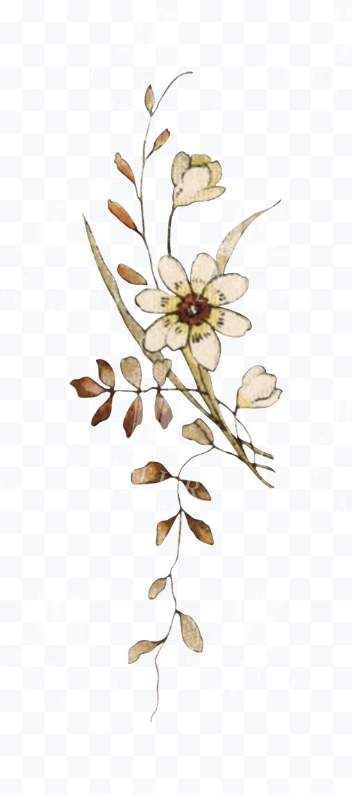 Wildflower Sprig - Delicate Cream Blossoms with Slender Leaves
