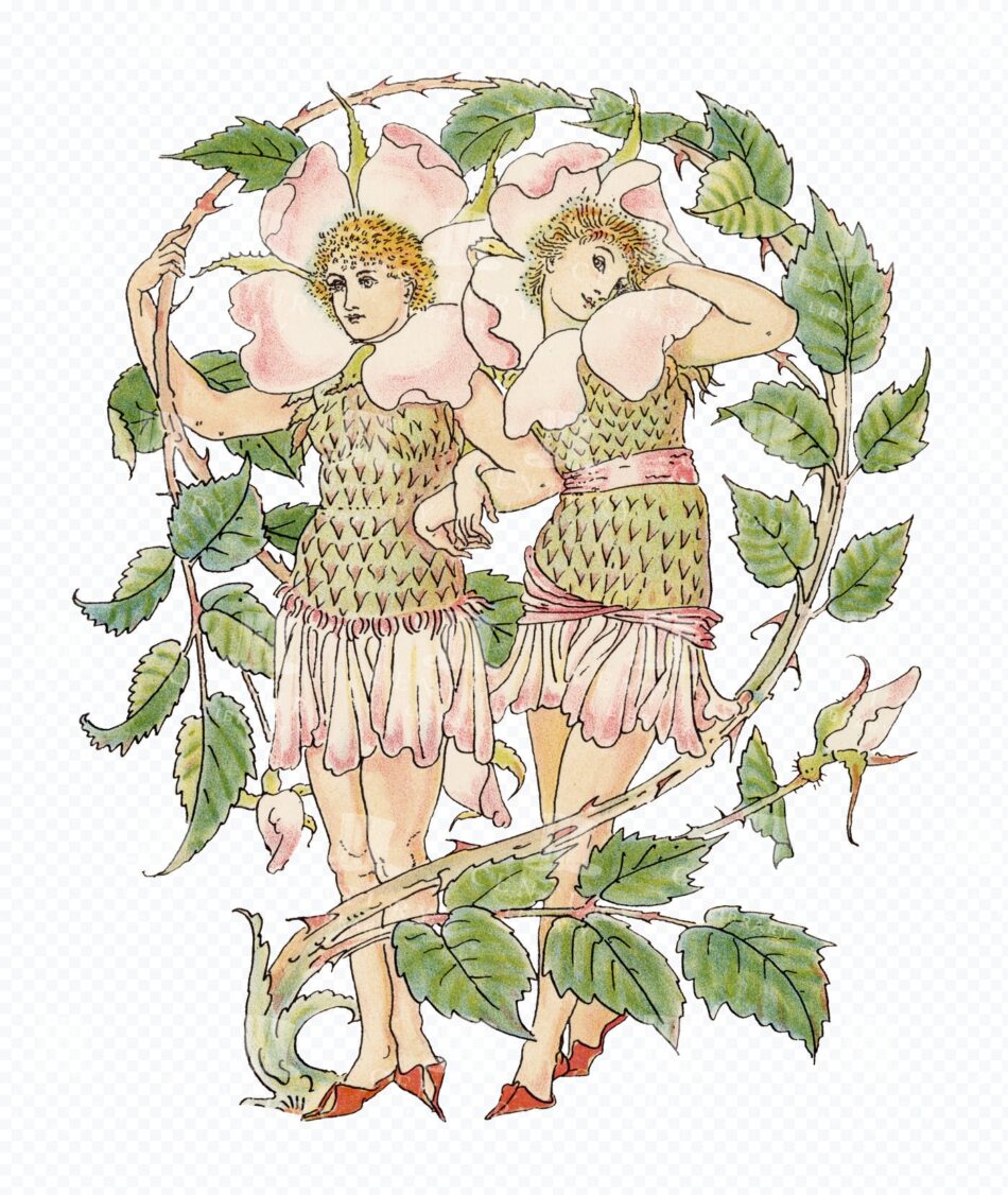 Flower Fairies - Rose Blossom Costumes with Thorny Vine Arch