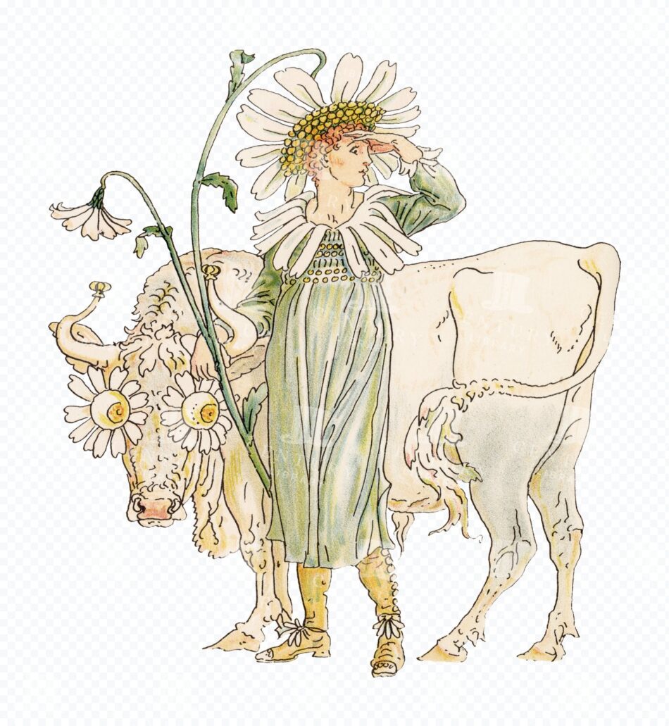 Flower Girl with Cow - Daisy Costume and Pastoral Farm Scene