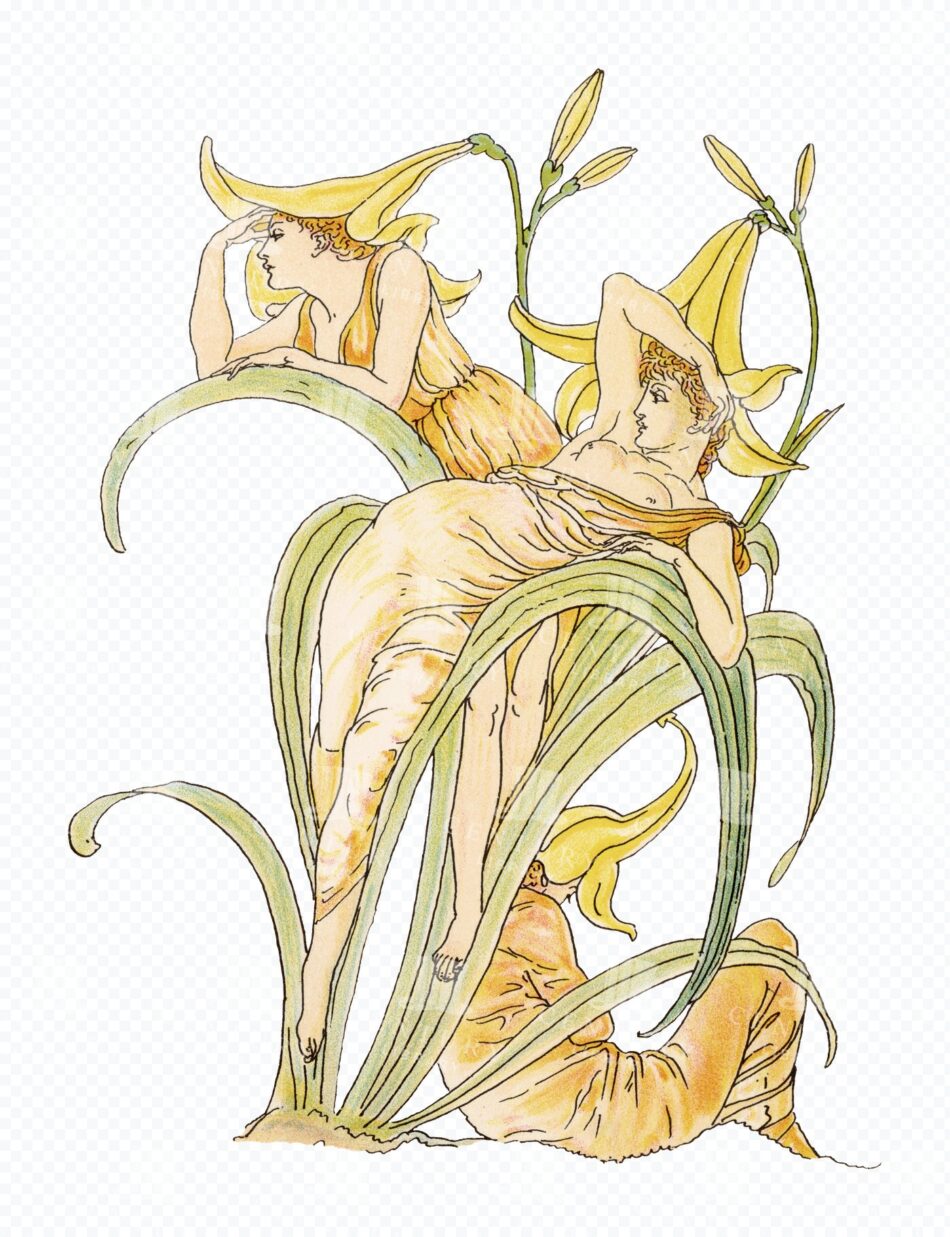 Flower Fairies Among Yellow Lilies - Art Nouveau Garden Scene