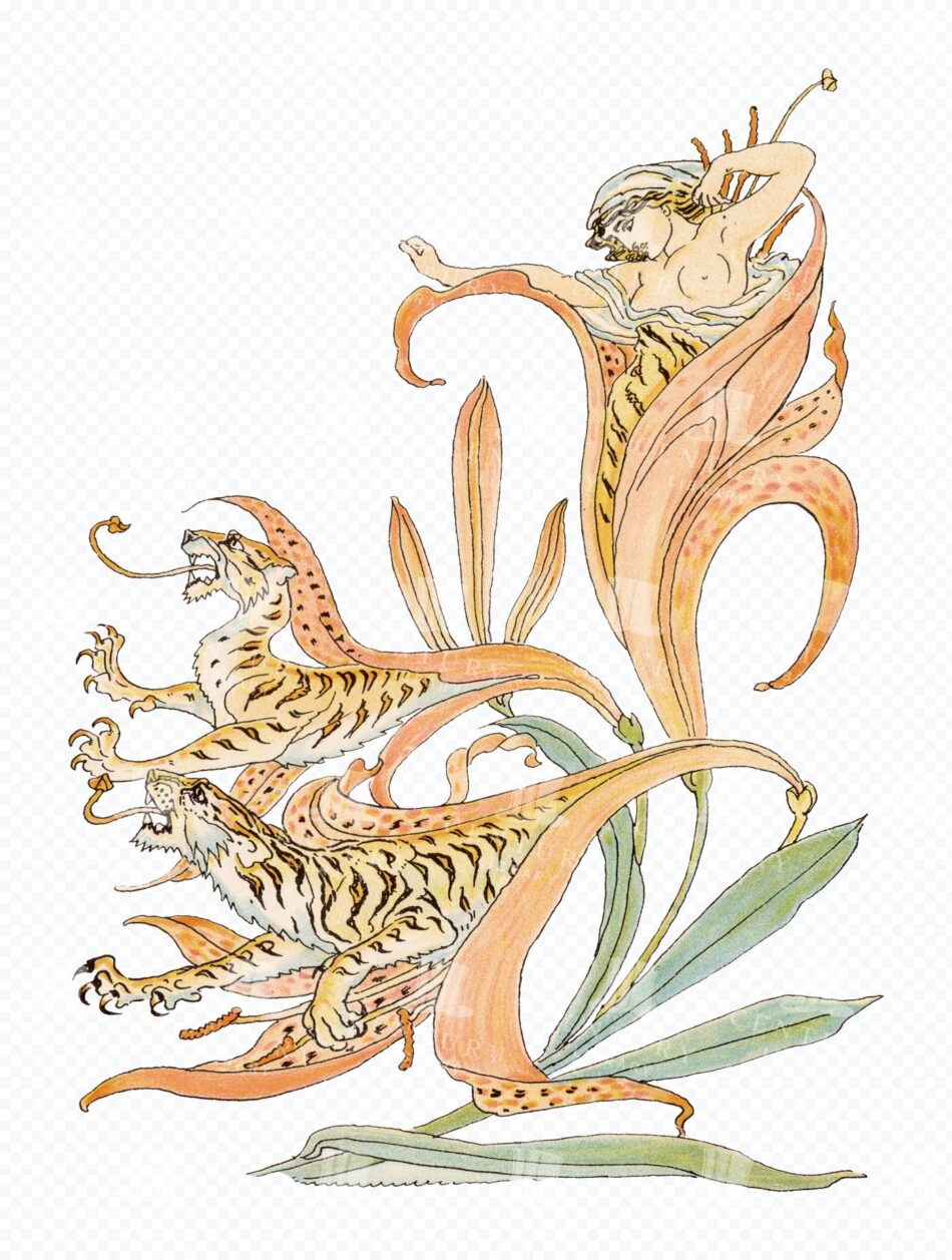 Flower Fairy with Tigers - Art Nouveau Lily and Big Cat Scene
